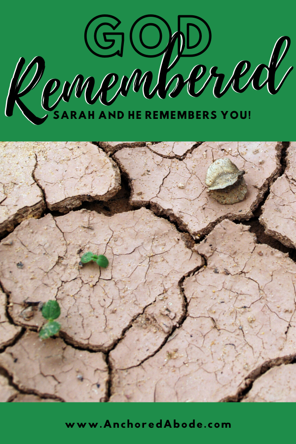God Remembered Sarah and He Remembers You (Genesis 8-14)