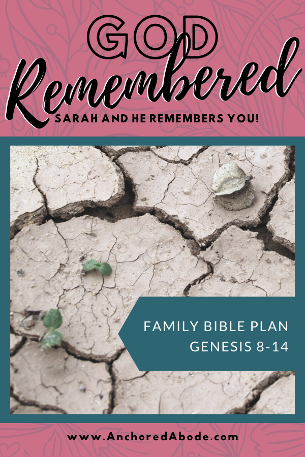 God Remembered Sarah and He Remembers You (Genesis 8-14)