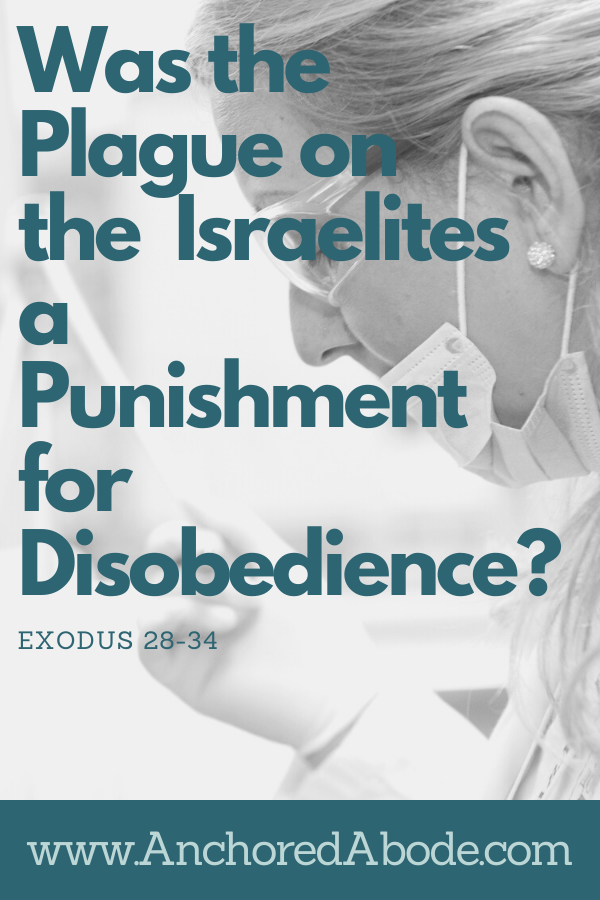 Was the Plague on the Israelites a Punishment for Disobedience? (Exodus 28 – 34)