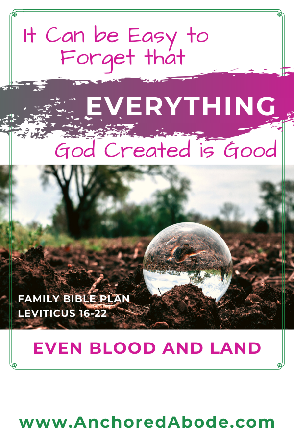 It Can be Easy to Forget that Everything God Created is Good – Even Blood and Land (Leviticus 16 – 22)