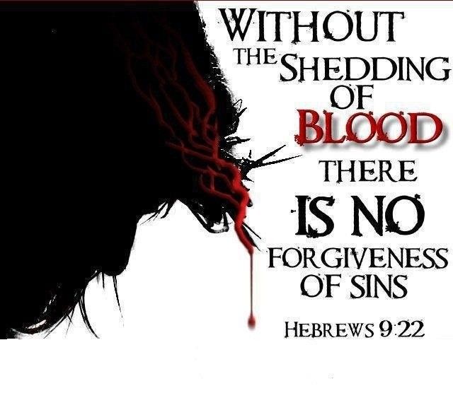 Everything God Created is Good - Hebrews 9:22