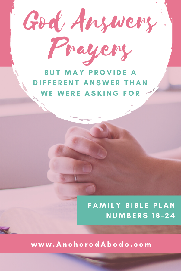 God Answers Prayers but May Provide a Different Answer Than We Were Asking For (Numbers 18 – 24)
