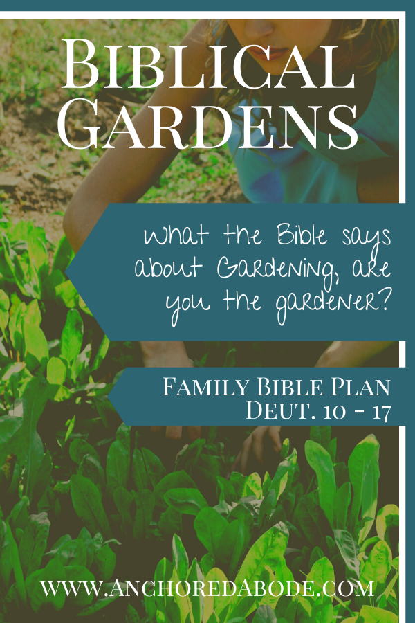 Biblical Gardens | What the Bible says about gardening, are you the gardener? (Deut. 10 – 17)