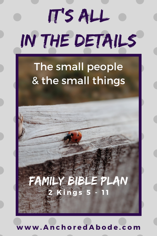 It’s all in the Details | The small people and the small things (2 Kings 5-11)