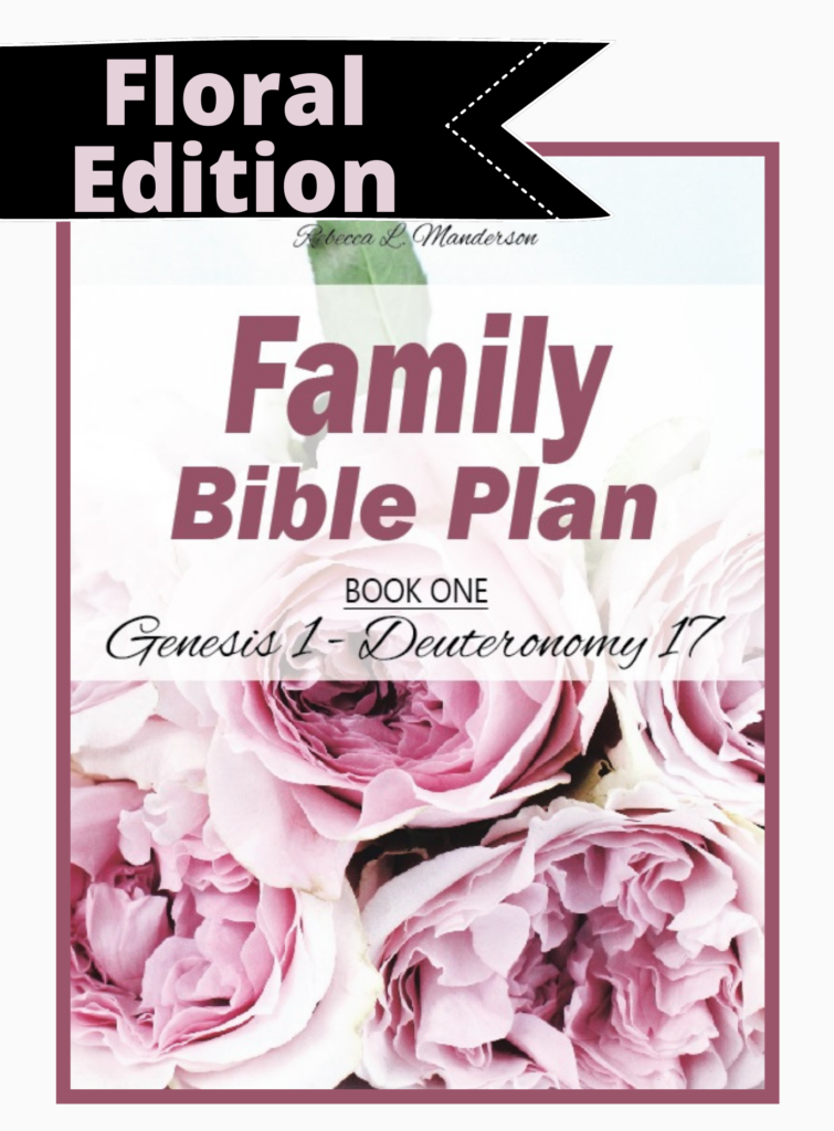 Family Bible Plan Book One - You Need to Choose Your Life Path: Wayward or Straight? 