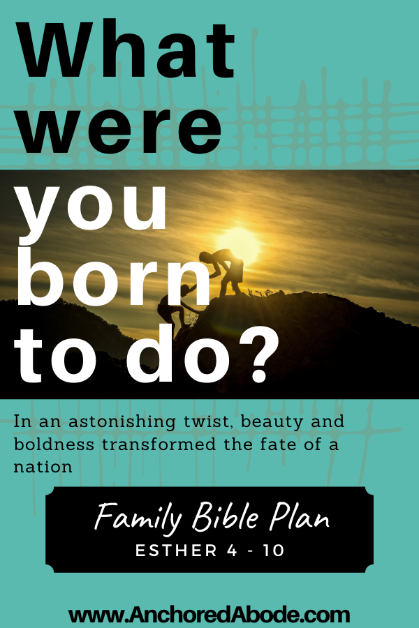 What were you born to do? | In an astonishing twist, beauty and boldness transformed the fate of a nation (Esther 4-10)
