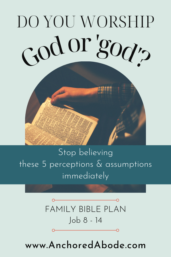 Do you Worship God or ‘god’? | Stop believing these 5 perceptions and assumptions immediately (Job 8-14)