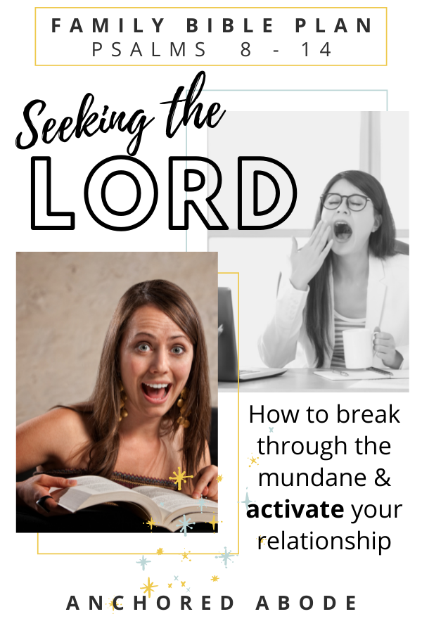 Seeking the Lord | How to break through the mundane and activate your relationship (Psalm 8-14)