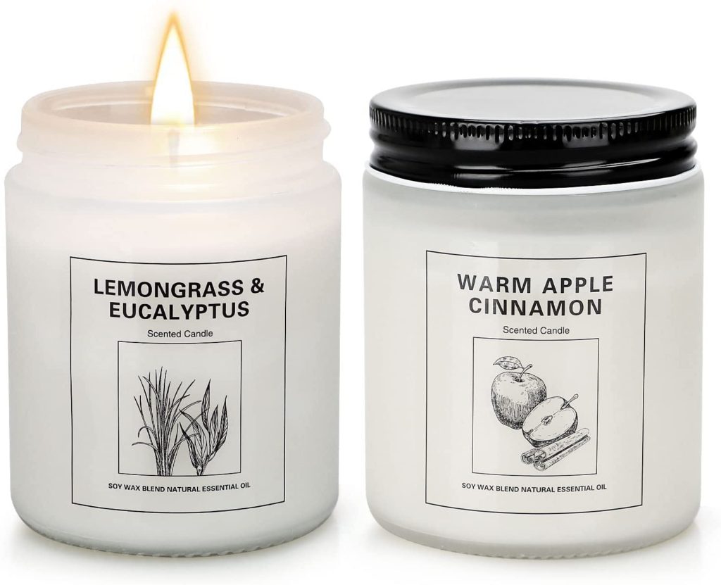 Cinnamon Apple and Lemongrass Eucalyptus Candles for Home Scented, Christmas Aromatherapy Candle Set for Women, 2 Pack Soy Wax Jar Candles Gifts for Birthday Mother with Strongly Fragrance