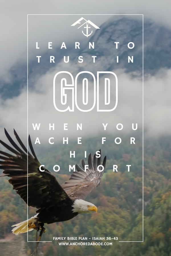 Learn How to Trust in God When You Ache for His Comfort (Isaiah 36-43)