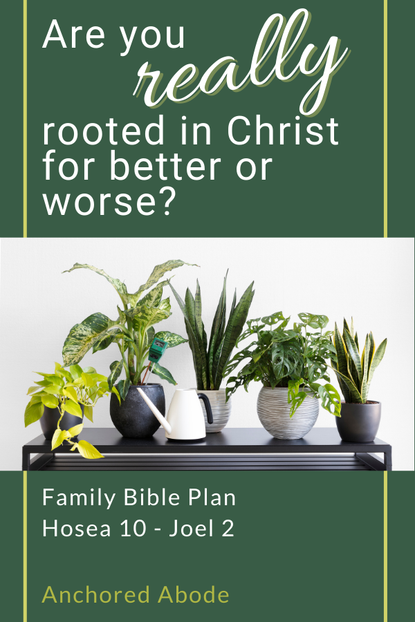 Are You Really Rooted in Christ for Better or Worse? (Hosea 10 – Joel 2)