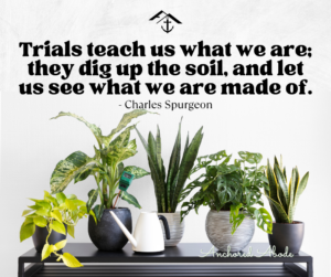 Rooted in Christ - Charles Spurgeon quote